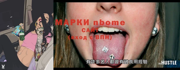крисы Каменка