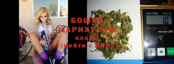 прущие грибы Зерноград