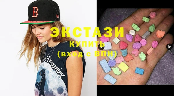 крисы Каменка
