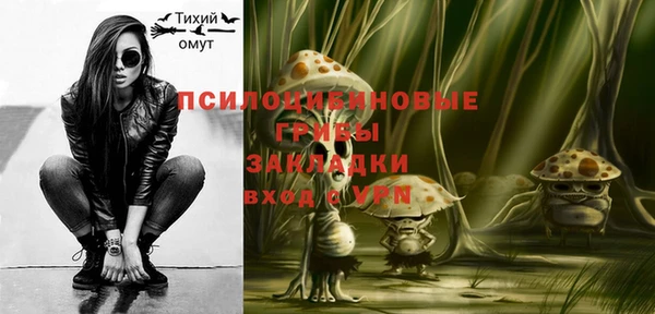 крисы Каменка