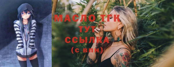 спиды Инсар
