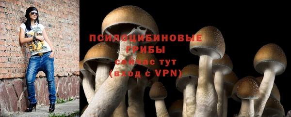 кокаин премиум Каменногорск