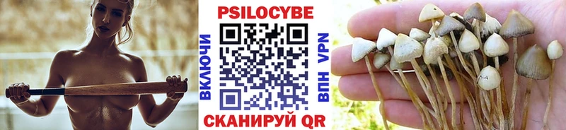Купить закладки  Кондопога  Галлюциногенные грибы мухоморы 