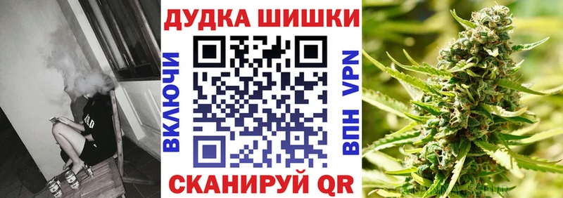 Бошки марихуана план  Купить где  Кондопога 